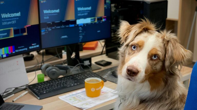 doge software licenses audit hud