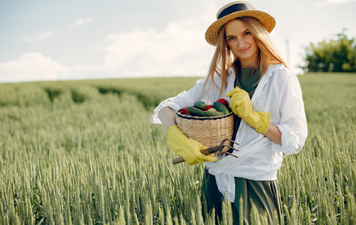 Unlocking Better Harvests Through Stronger Starts