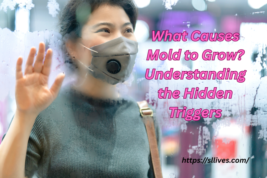 What Causes Mold to Grow? Understanding the Hidden Triggers