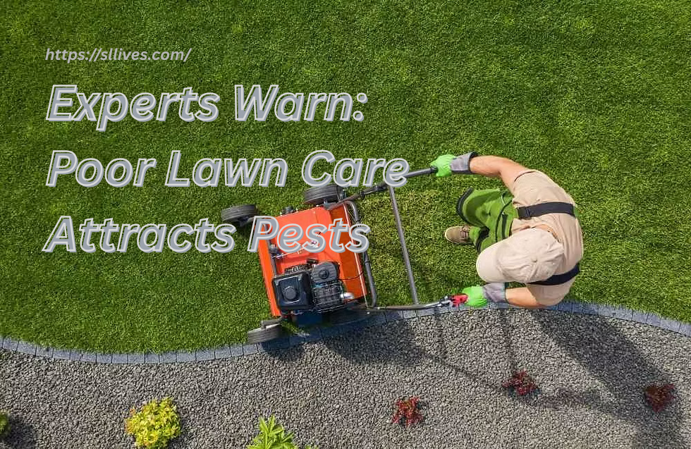 Experts Warn: Poor Lawn Care Attracts Pests