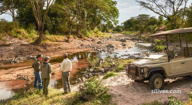 Planning a Milestone Safari for a Special Occasion
